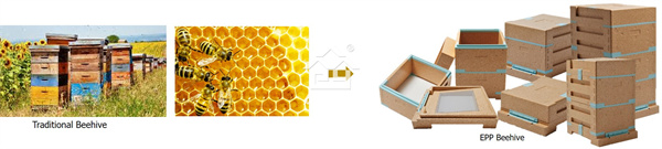 EPP 蜂箱2 EPP 蜂(fēng)箱2