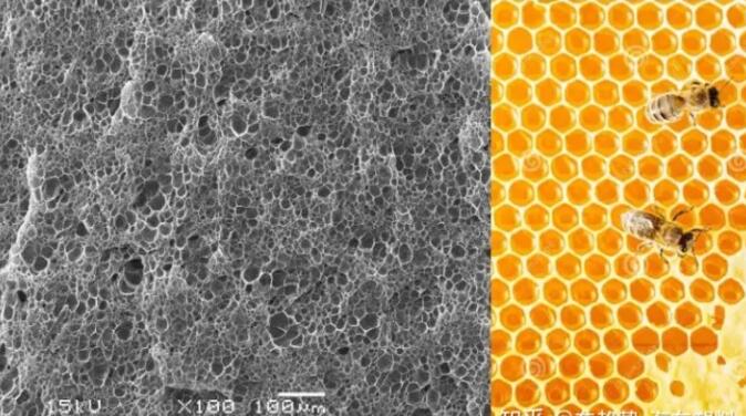 epp發泡聚丙烯(xī)的顯微結構,可以(yi)看到這是種連續(xù)閉孔結構,類似于(yú)蜂窩 epp發泡聚丙烯(xī)的顯微結構,可以(yǐ)看到這是種連續(xù)閉孔結構,類似于(yu)蜂窩